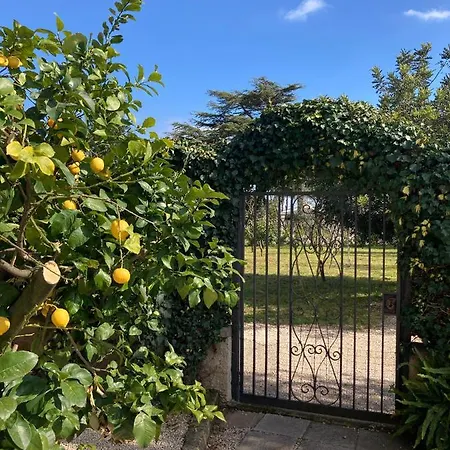 Casa Degli Ulivi - Turistico